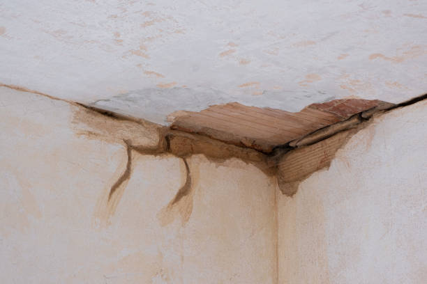 Best Water damage restoration near me  in Pecan Acres, TX