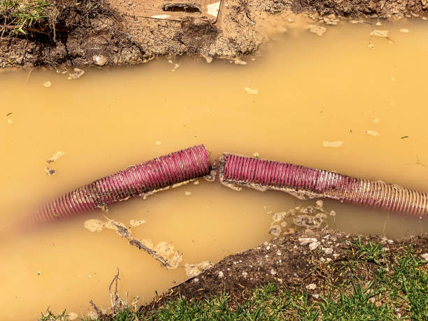 24/7 water damage repair in Pecan Acres, TX